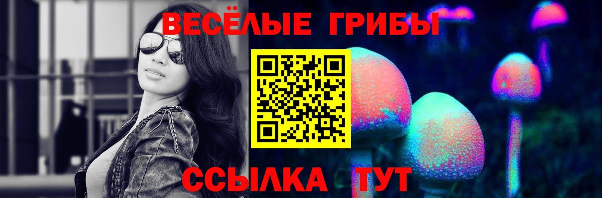 Псилоцибиновые грибы Psilocybine cubensis  Псилоцибиновые грибы MAGIC MUSHROOMS  Вход с VPN  Изобильный 